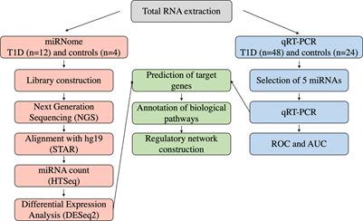 Global miRNA expression reveals novel nuclear and mitochondrial interactions in Type 1 diabetes mellitus